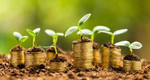 Growing Finance
